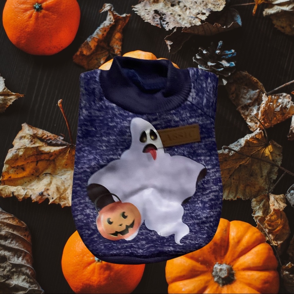 X-Small Pet Ghost Sweatshirt